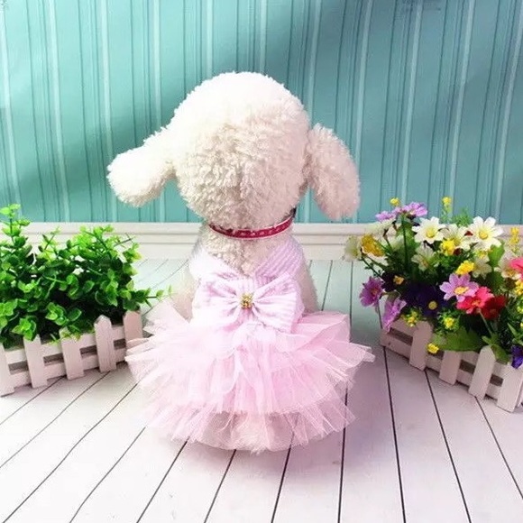 Dog dress shirt bow tutu blue cute small dogs - Picture 5 of 8